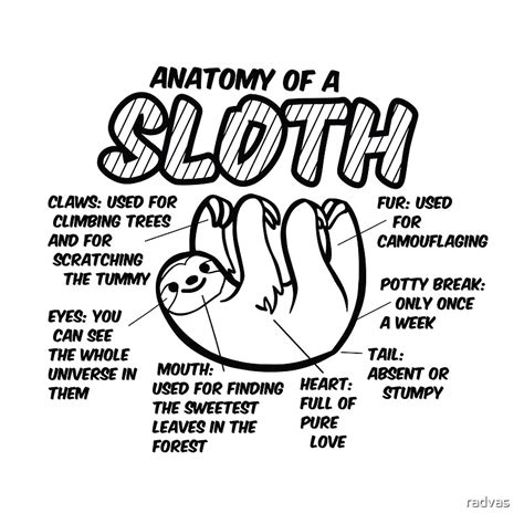 "Anatomy of a Sloth" Posters by radvas | Redbubble