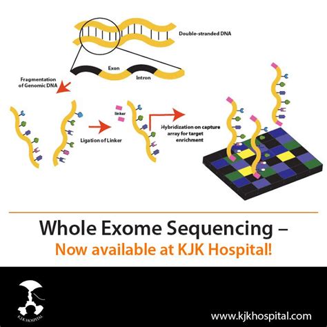 Whole Exome Sequencing | KJK Hospital and Fertility Research Centre, Trivandrum