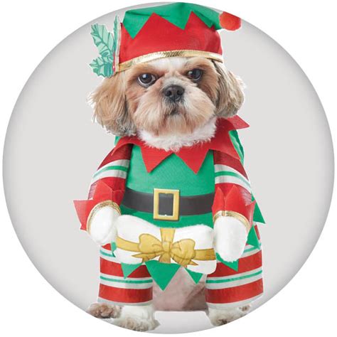 Shop Dog Christmas Costumes | Cat Christmas Costumes | Dog Elf Costumes