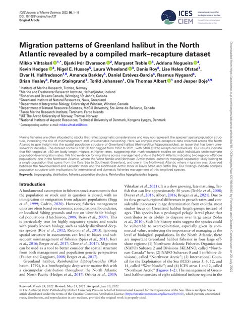 (PDF) Migration patterns of Greenland halibut in the North Atlantic ...