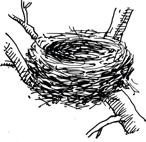 Birds Nest Drawing at GetDrawings | Free download