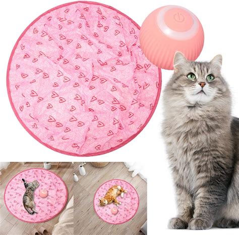 Amazon.com: ANKICK 2 in 1 Simulated Interactive Hunting Cat Toy, Gertar ...