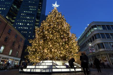 South Street Seaport Christmas Tree 2016 Photograph by Daniel ...