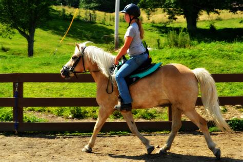 Horseback Riding at East Hill Farm | The Inn at East Hill Farm