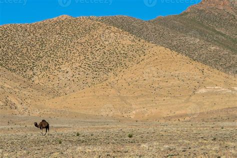 Sahara desert in Morocco 20757856 Stock Photo at Vecteezy