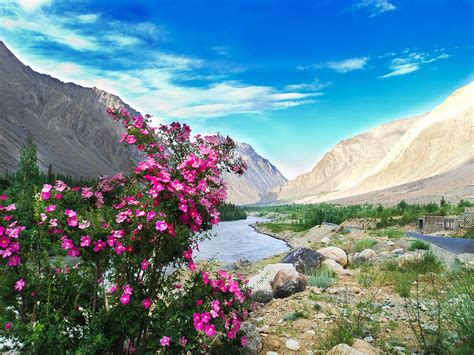 5 Reasons To Visit Ladakh