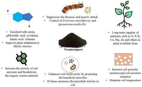 Vermicomposting Process Springerlink