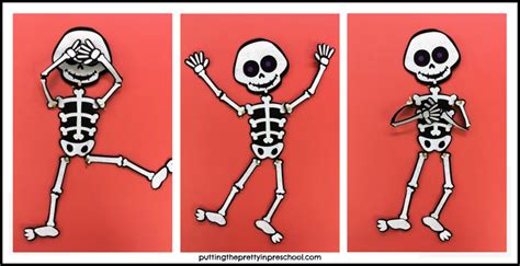 Skeleton Preschool Theme