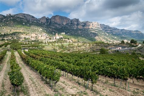 Best Spanish Wine Regions to Visit in 2023 | Winetraveler