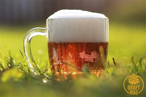 Festbier Recipe: The Complete Guide To Brewing a German Festbier