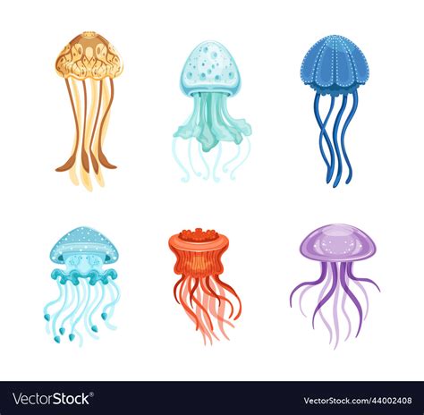 Colorful jellyfish with umbrella-shaped bell Vector Image