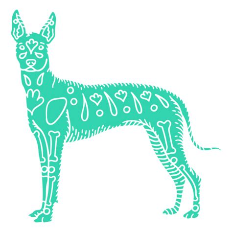 Diseños PNG de xoloitzcuintle para camisetas & Merch