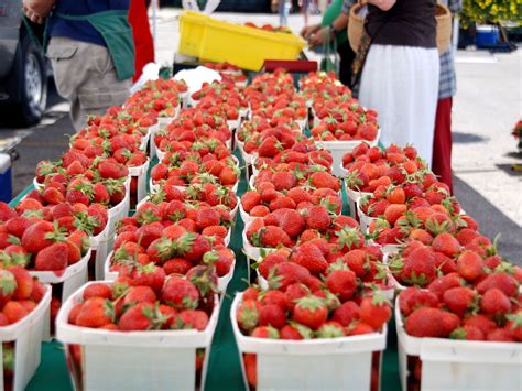 Chicago’s 12 Best Farmers Markets to Visit This Season - Eater