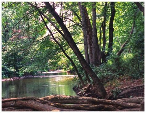 Mill River Trail - Calvin Coolidge Walking Tour - PocketSights