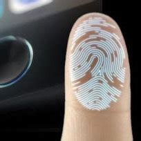 Fingerprint identification technology | Download Scientific Diagram