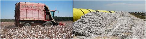 Cotton Seed Oil Extraction Machine Plant for Small Solvent Extraction Production