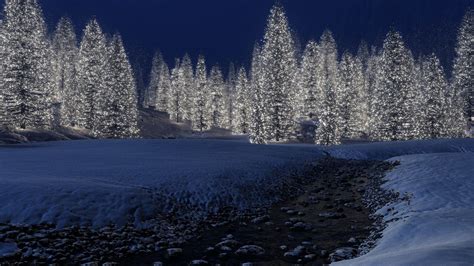 2048x1152 Snow Trees 2048x1152 Resolution HD 4k Wallpapers, Images ...