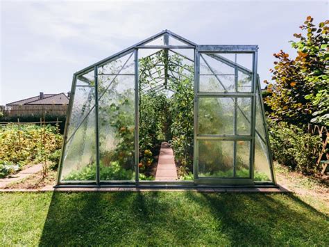 Geothermal Greenhouses: Using The Earth To Heat Greenhouses | Gardening Know How