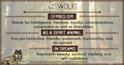 Wolf spirit animal meaning (white, black, lone wolf), what does it mean to dream of a wolf, its ...