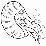 Nautilus Coloring Pages  Free Printable For Kids sketch template