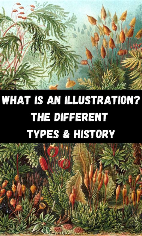 What Is An Illustration? The Different Types & History – ATX Fine Arts