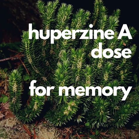 What's the best huperzine A dosage for memory? - VITAMENTOR