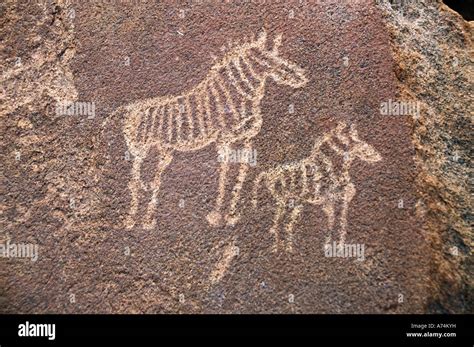 Rock art petroglyphs Twyfelfontein national monument Damaraland Stock ...