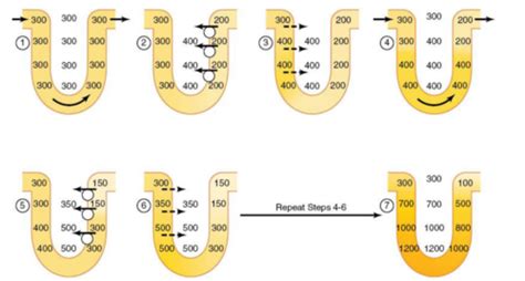 17 - Tubules and loop of Henle, Countercurrent multiplication, Distal tubule and collecting ...