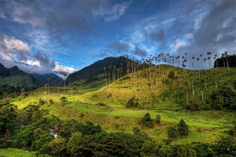 Things to Do in Salento - Exploring Small Town Colombia - Just a Pack