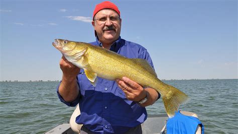 7 awesome walleye jigs that belong in every angler's tacklebox • Page 6 of 8 • Outdoor Canada