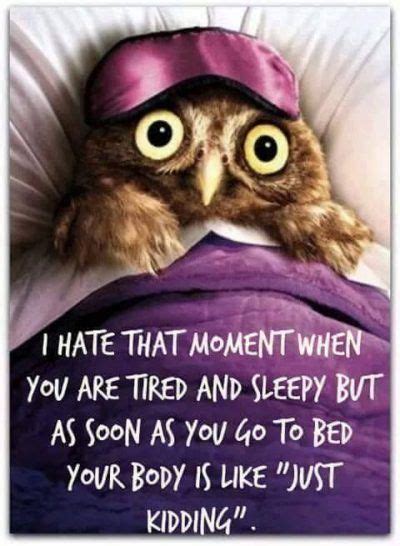 Night Owl Or Sweet Dreams | Mensajes divertidos, Frases bonitas para enamorados, Pensamientos en ...