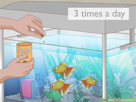 3 Ways to Feed Goldfish - wikiHow