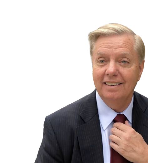 Free download Transparent background template image Lindsey Graham DGAF Know [924x1018] for your ...