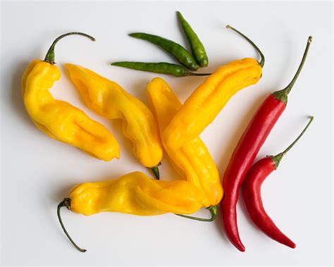 Chili pepper - Wikipedia