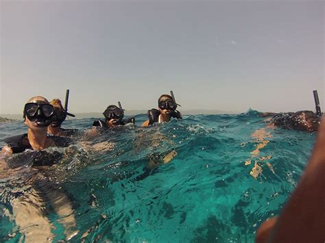 Snorkeling in MONTEGO BAY with Dressel Divers