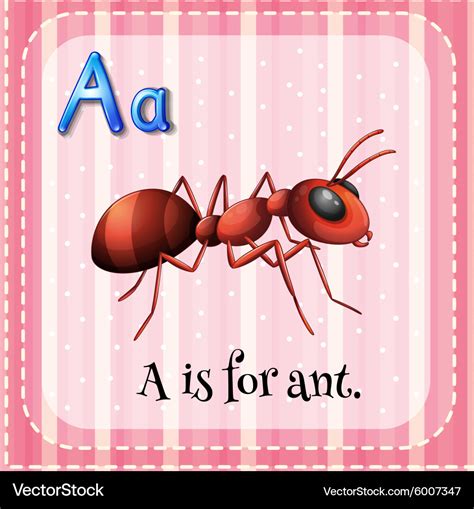 Flashcard a is for ant Royalty Free Vector Image