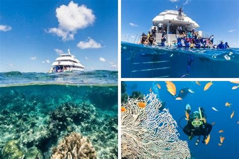 15 Best Great Barrier Reef Tours from Cairns