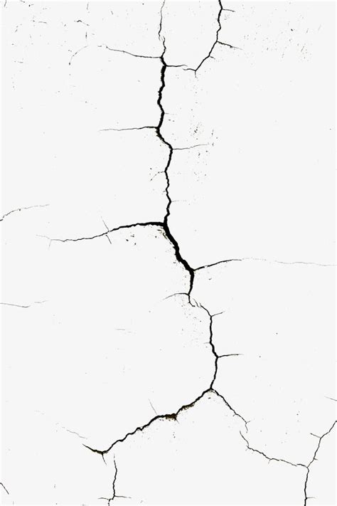 2020 的 Wall Cracks 主题