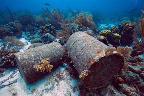 Webinar: The impact of land-based pollution on coral reefs: focus on nutrients, plastics and ...