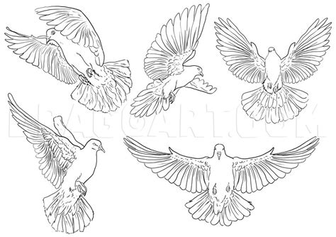 How To Draw Pigeons, Step by Step, Drawing Guide, by NeekoNoir | dragoart.com | Dove tattoo ...