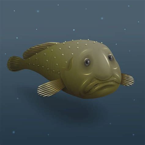 The Blobfish is the Worlds Ugliest Fish - South Walton Connections