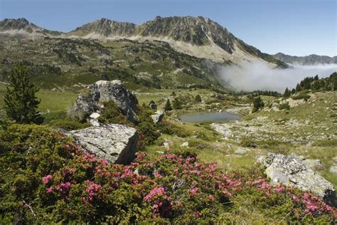 Adventure of the Week: Walking in the Pyrenees National Park