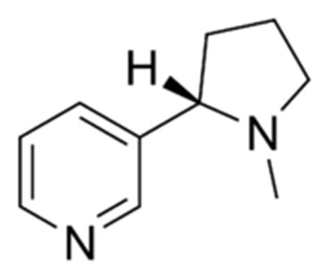 Nicotine Molecule in 3D using Jmol