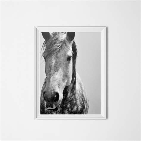 Black & White Horse Print Horse Photography Animal - Etsy