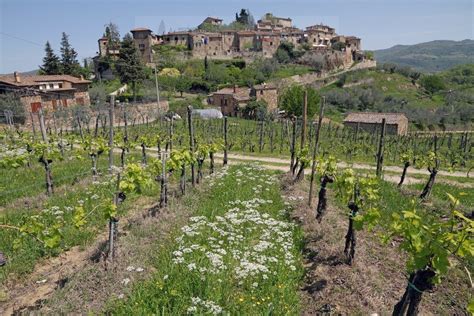 Greve in Chianti, cosa vedere e dove dormire