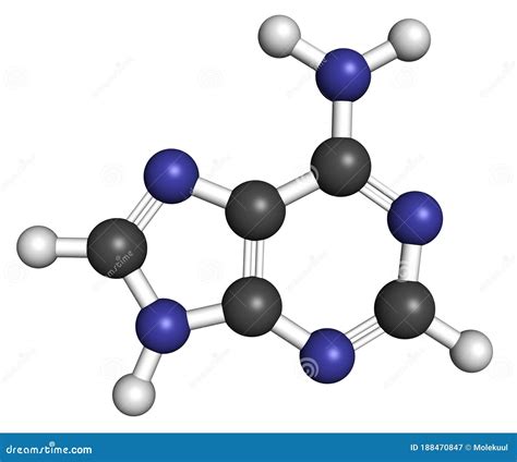 Adenine (a, Adenine) Purine Nucleobase Molecule. Base Present in DNA and RNA Stock Illustration ...