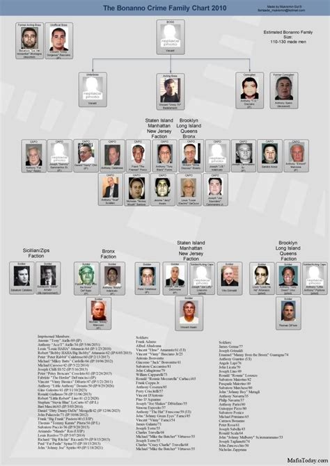 Bonanno-family-chart | Mafia families, Mafia gangster, Mafia today