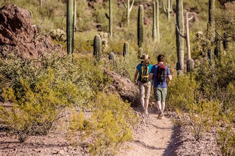 10 Best Hiking Trails In Saguaro National Park (With Maps!) » Parked In ...