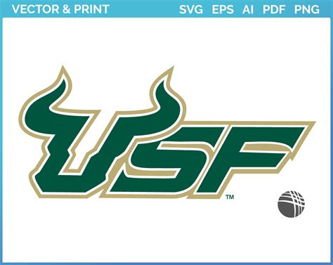 South Florida Bulls - Wordmark Logo (2003) - College Sports Vector SVG Logo in 5 formats