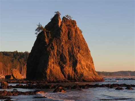 Rialto Beach (Olympic National Park) - All You Need to Know BEFORE You ...